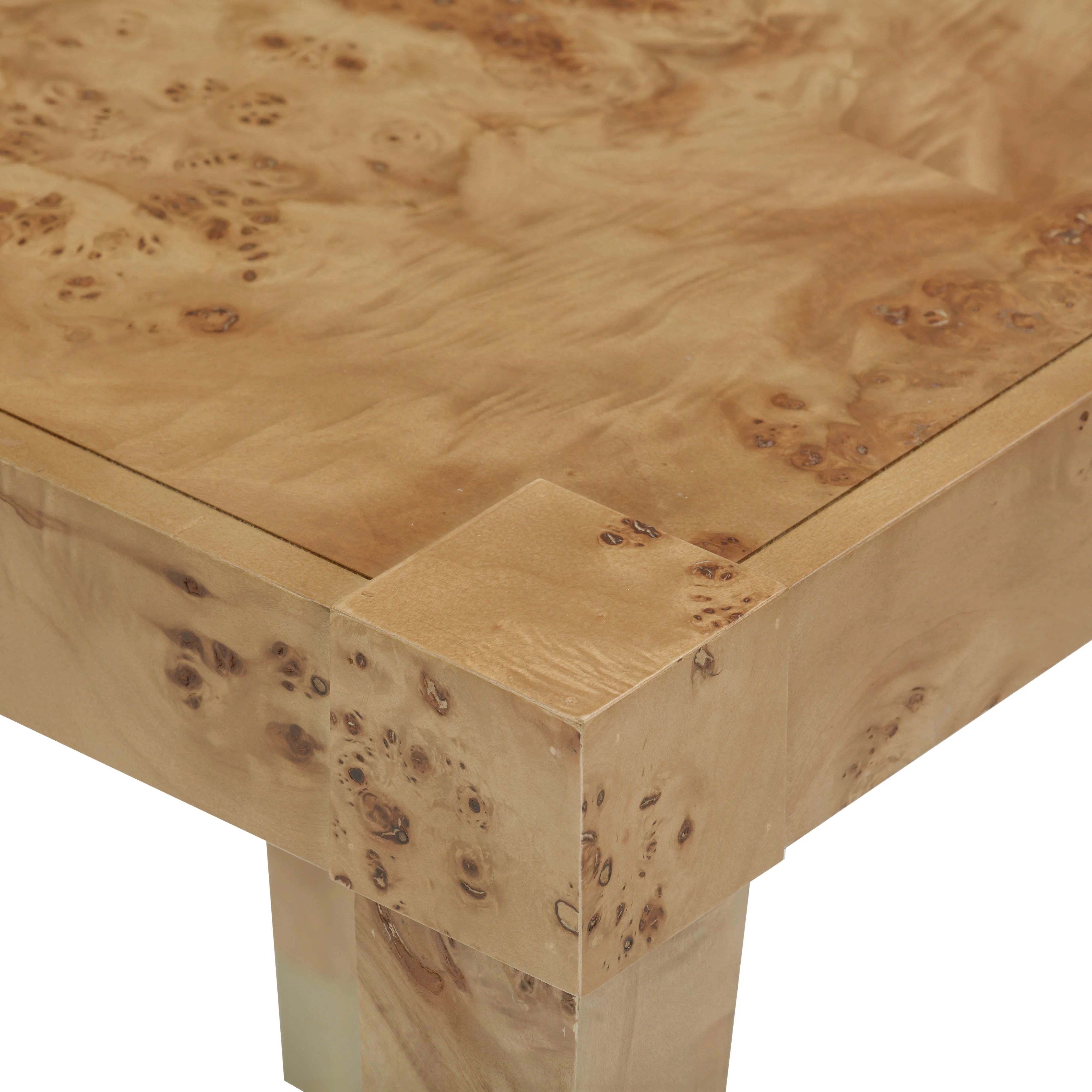 Brandyss Burl End Table - Image 18