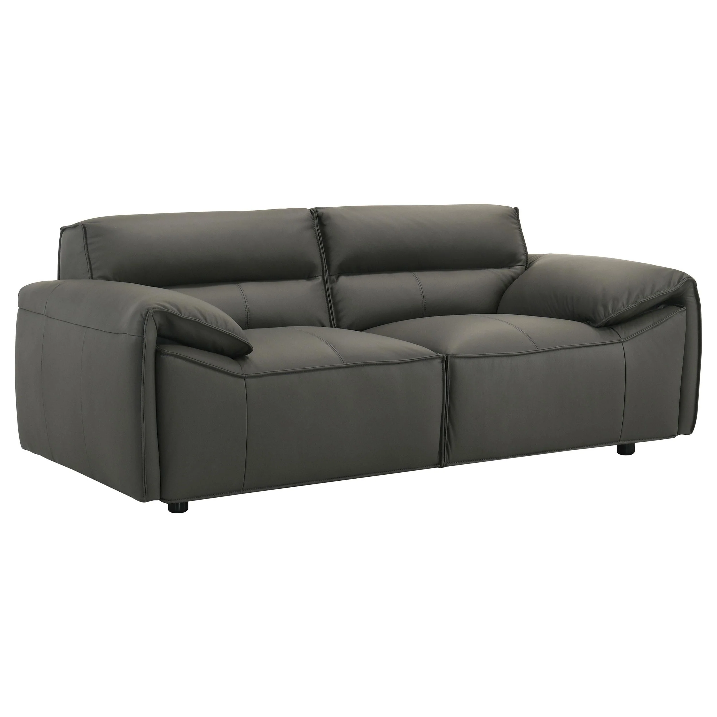 Buxton Graphite 2-Piece Leather Upholstered Living Room Set - Image 7