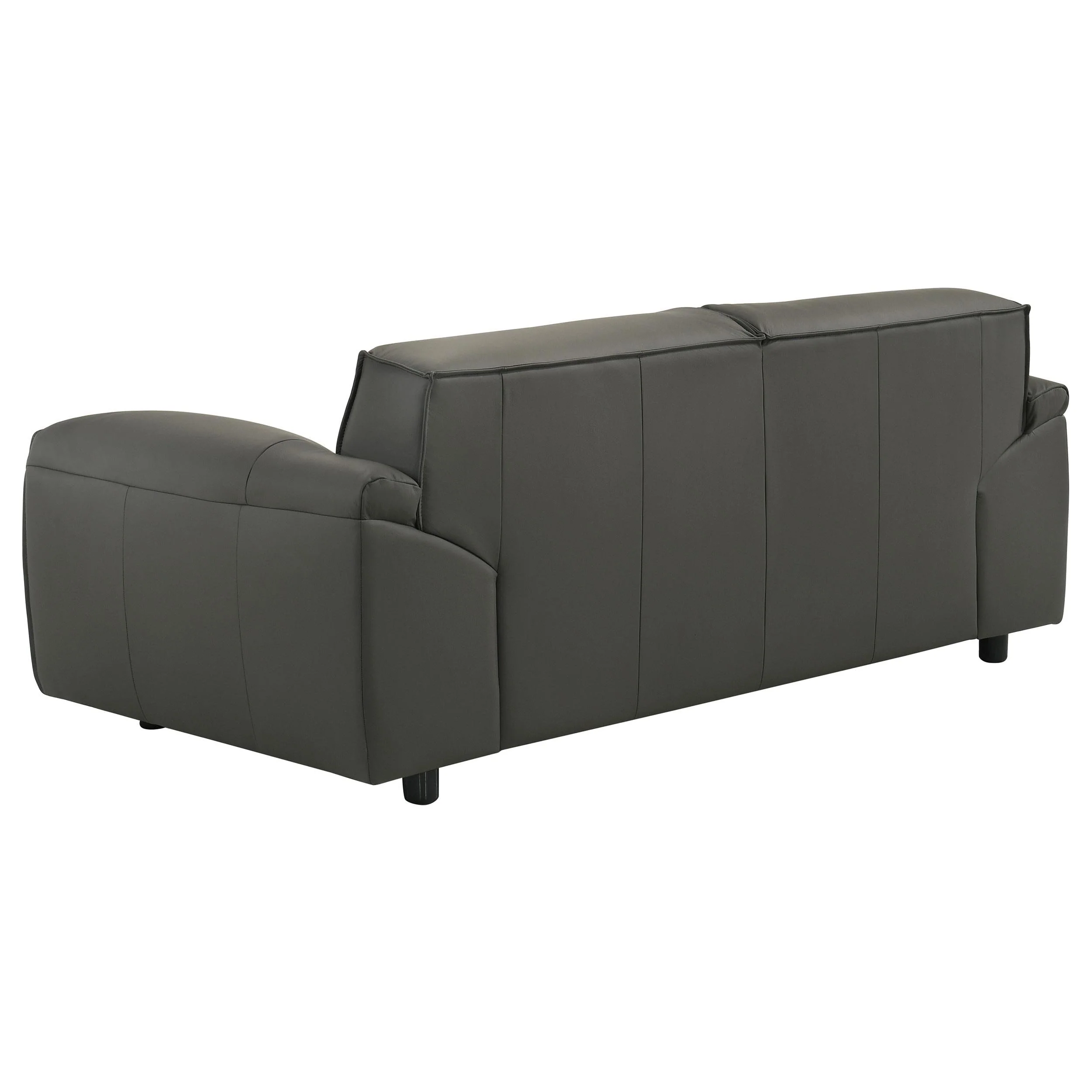 Buxton Graphite 2-Piece Leather Upholstered Living Room Set - Image 9