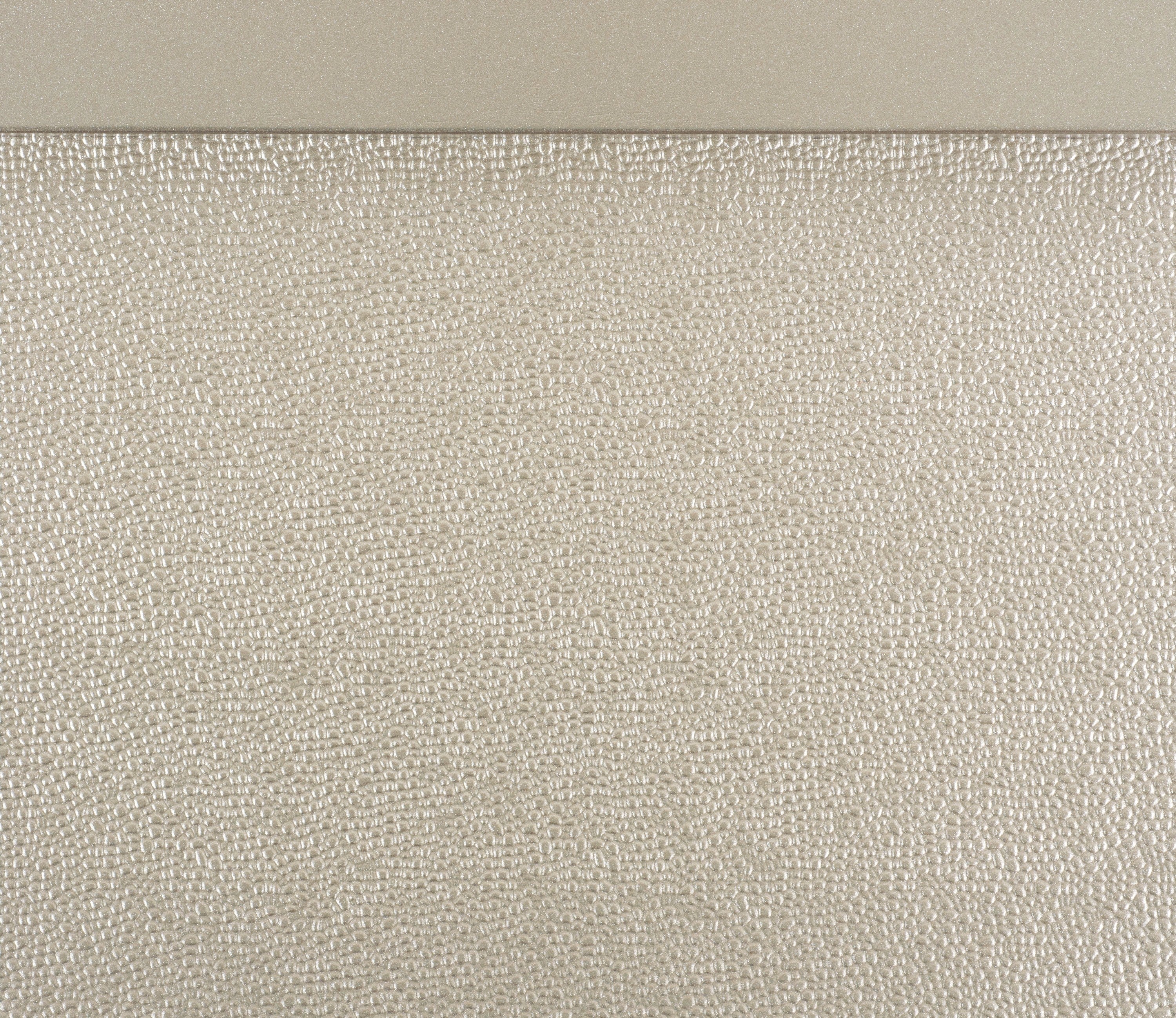 Celandine Silver California King Upholstered Panel Bed - Image 4