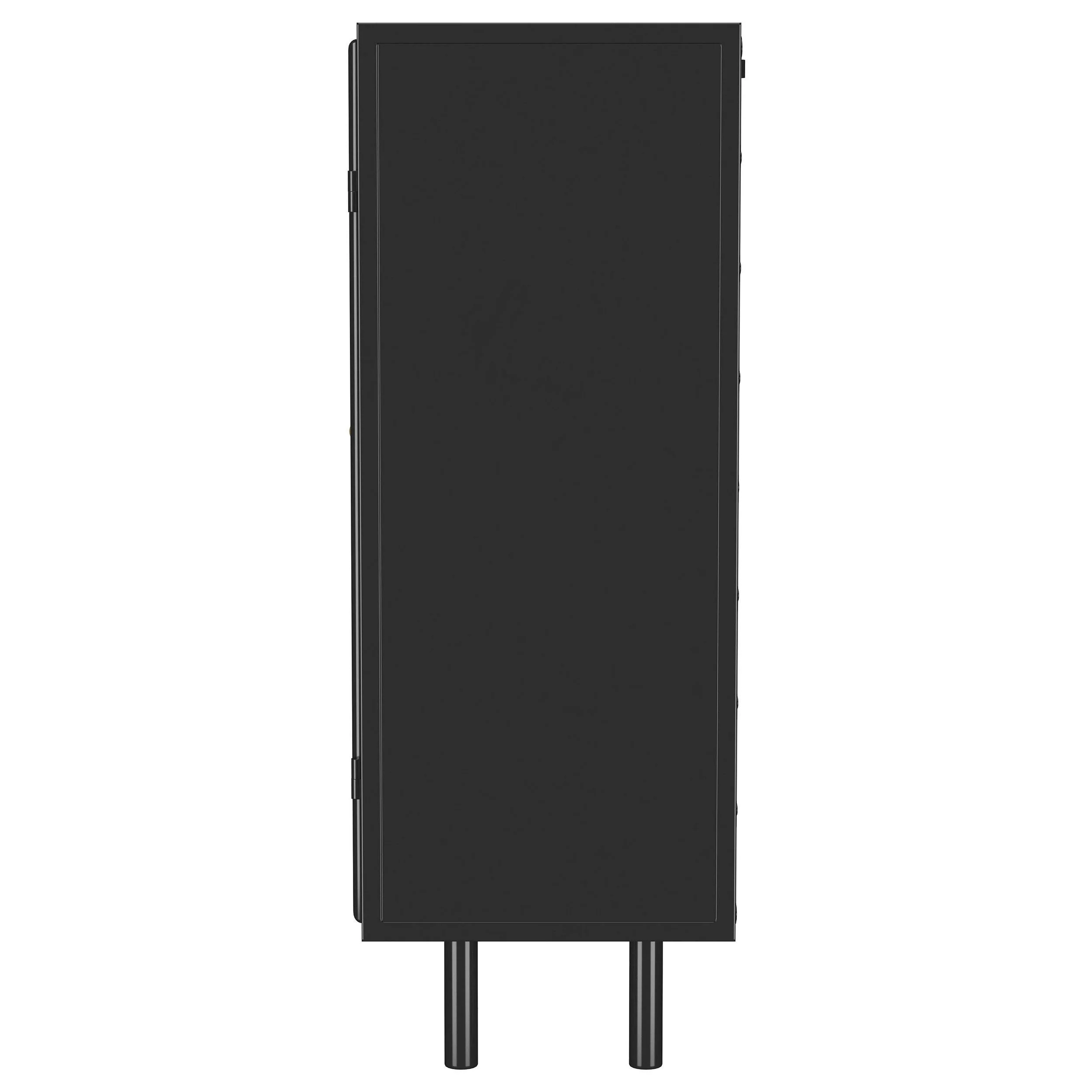 Dalia Black 2-Door Accent Storage Cabinet with Shelving - Image 3
