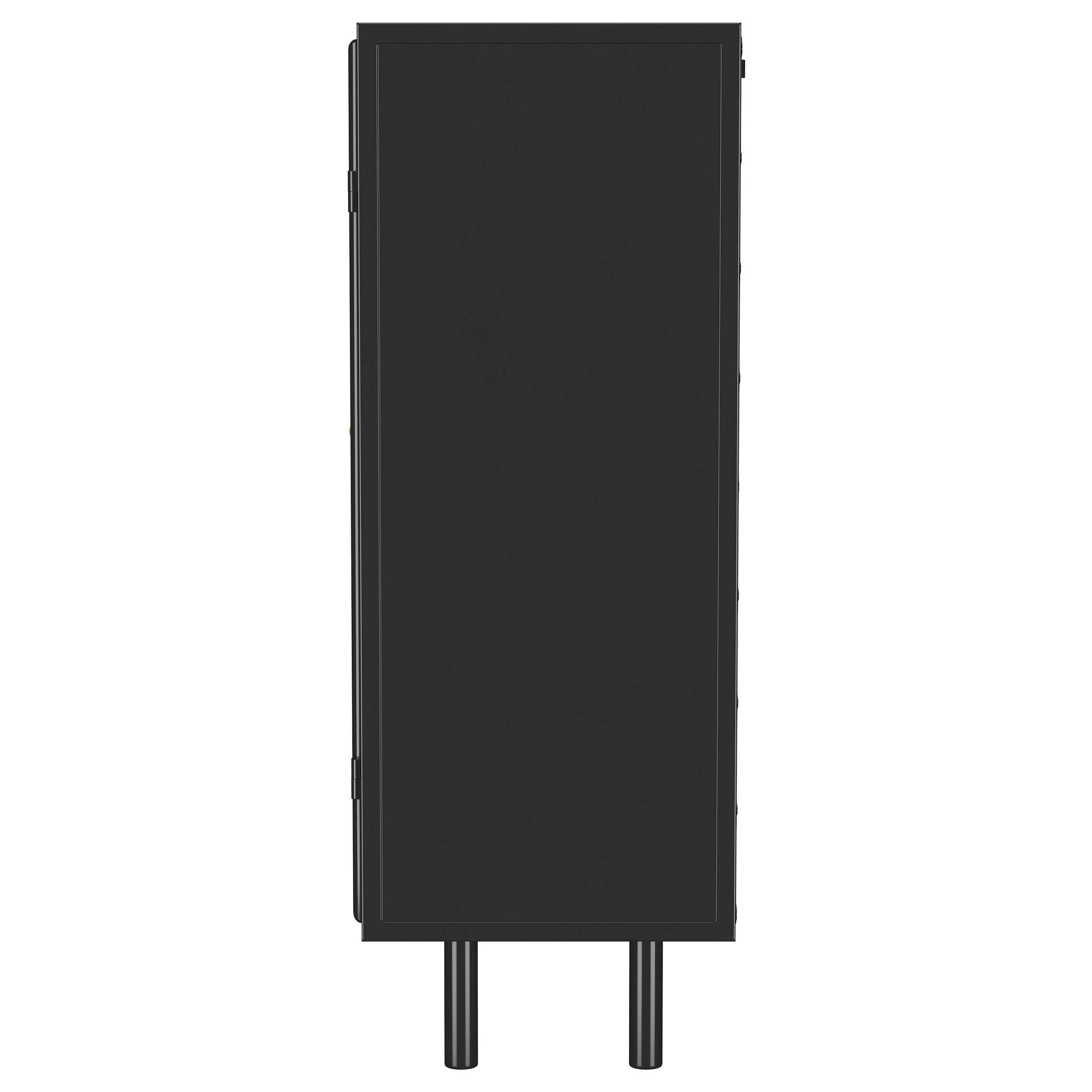 Dalia Black 2-Door Accent Storage Cabinet with Shelving - Image 7