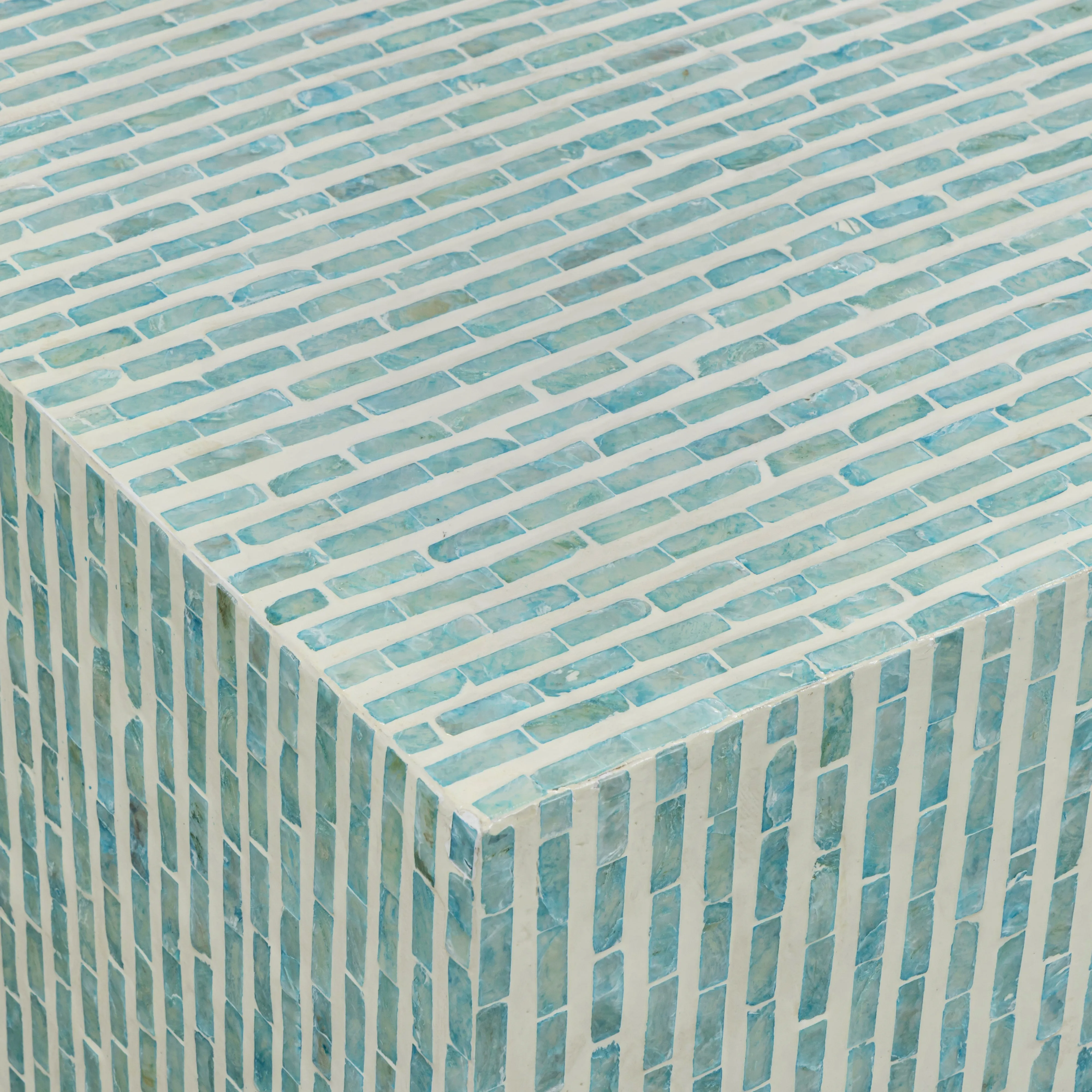 Earl 48" Shell Rectangular Coffee Table - Image 9