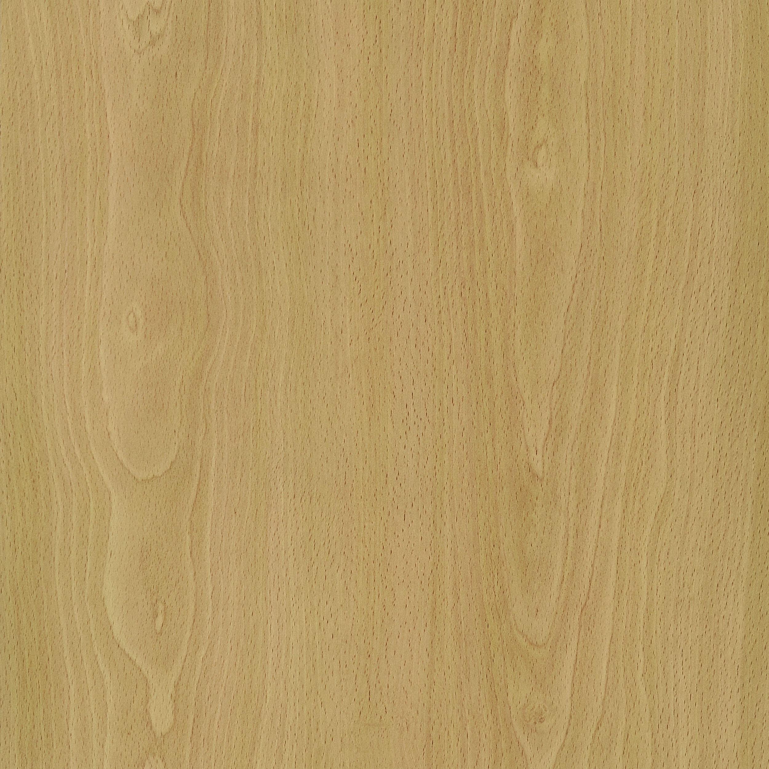 Edwards Natural 4-Panel Room Divider Folding Shoji Screen - Image 6