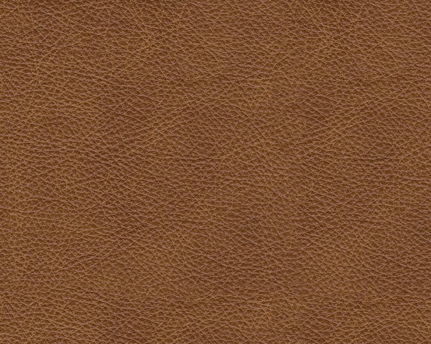 Emilia Caramel Leather Modular Sofa and Loveseat - Image 17