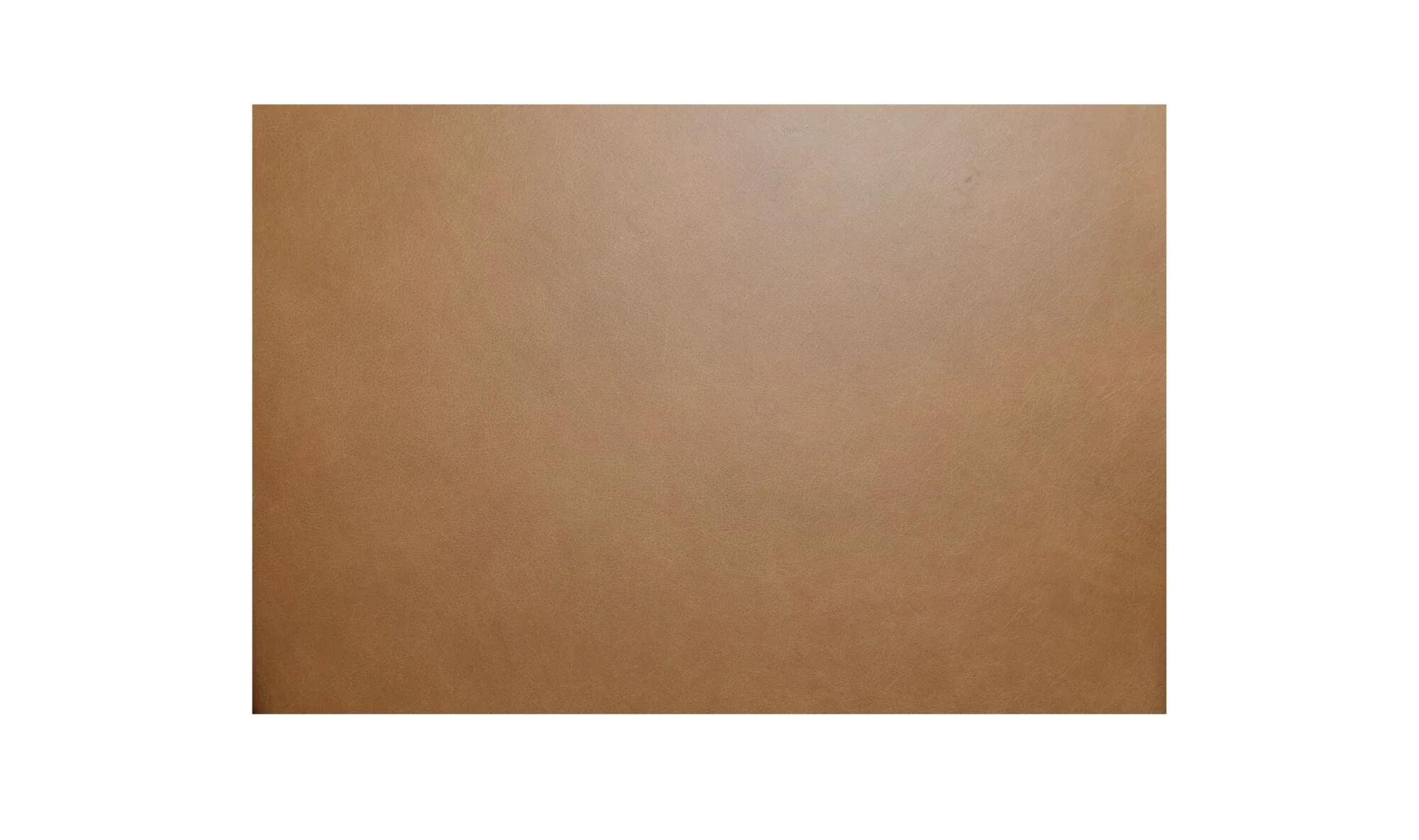Morel Counter Stool Brown Leather - Image 10
