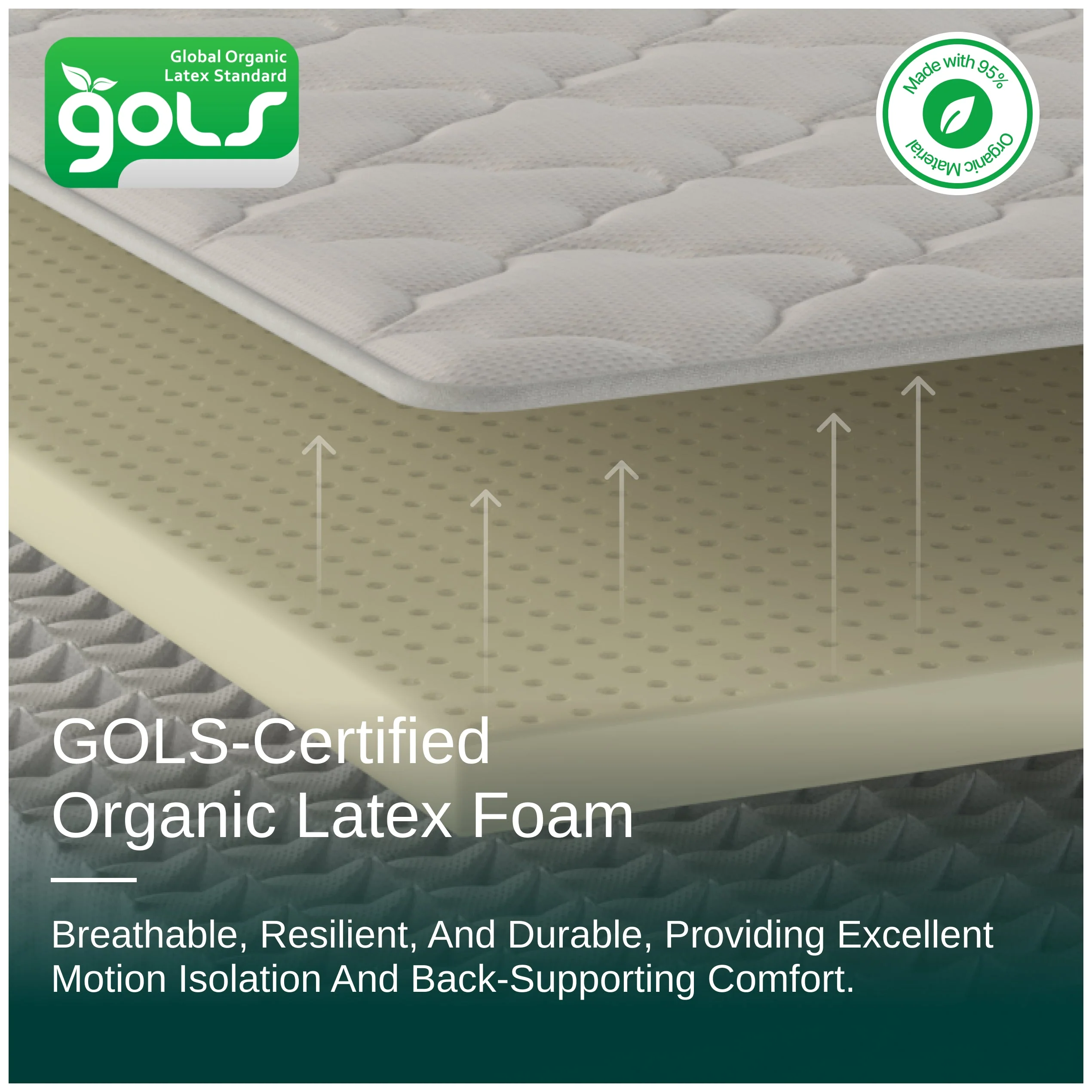 Organic Hybrid Plush Mattress - Image 6
