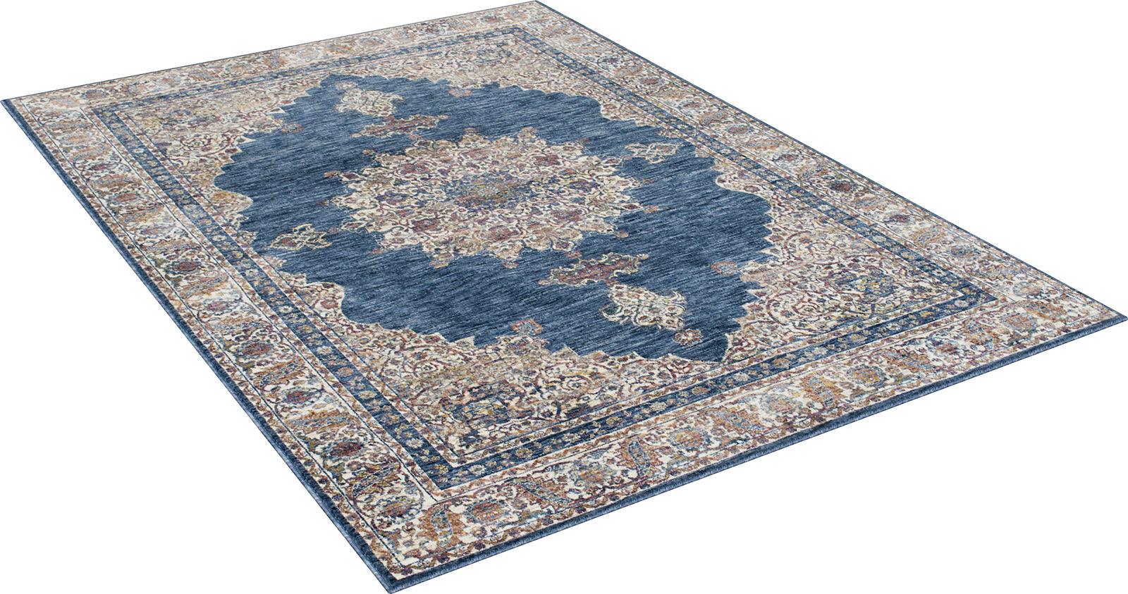 Payas Blue/Multi Area Rug - Image 2