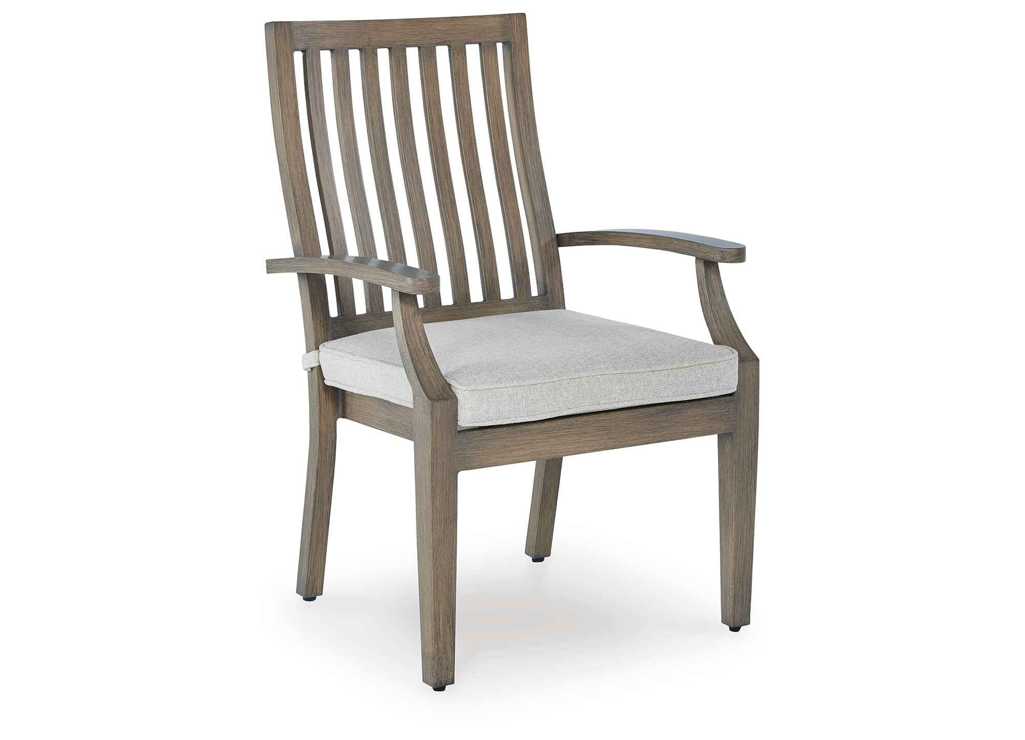 Rainier Ranch Brown/Beige Outdoor Arm Chair with Cushion (Set of 2) - Image 9