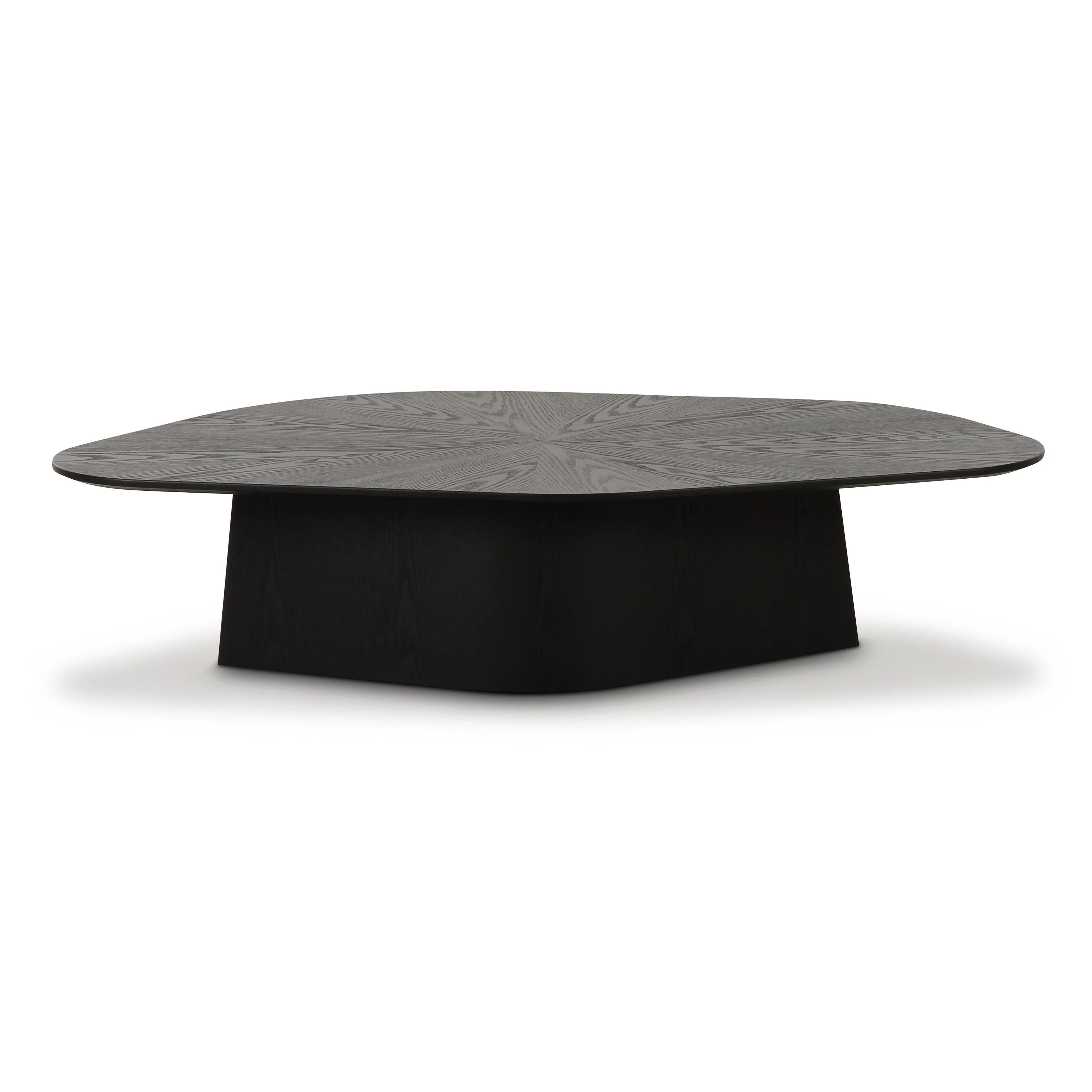 Roche Ash Low Coffee Table - Image 3