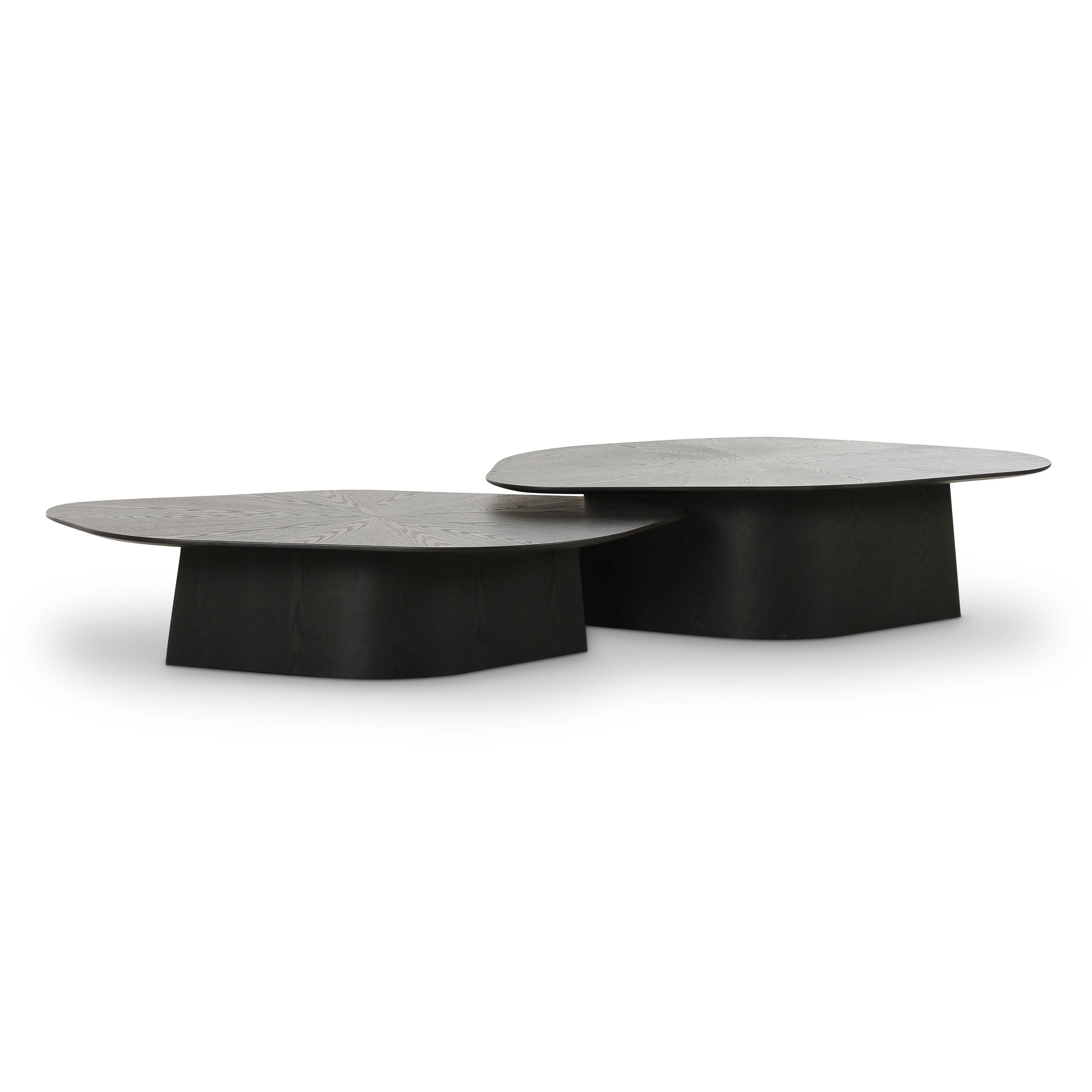 Roche Ash Nesting Coffee Table Set - Image 3