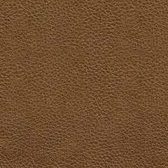 Saonara Amber Genuine Leather Sofa and Loveseat - Image 13
