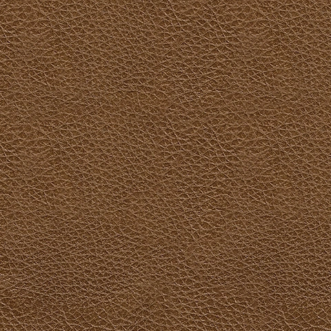 Saonara Amber Genuine Leather Sofa - Image 6