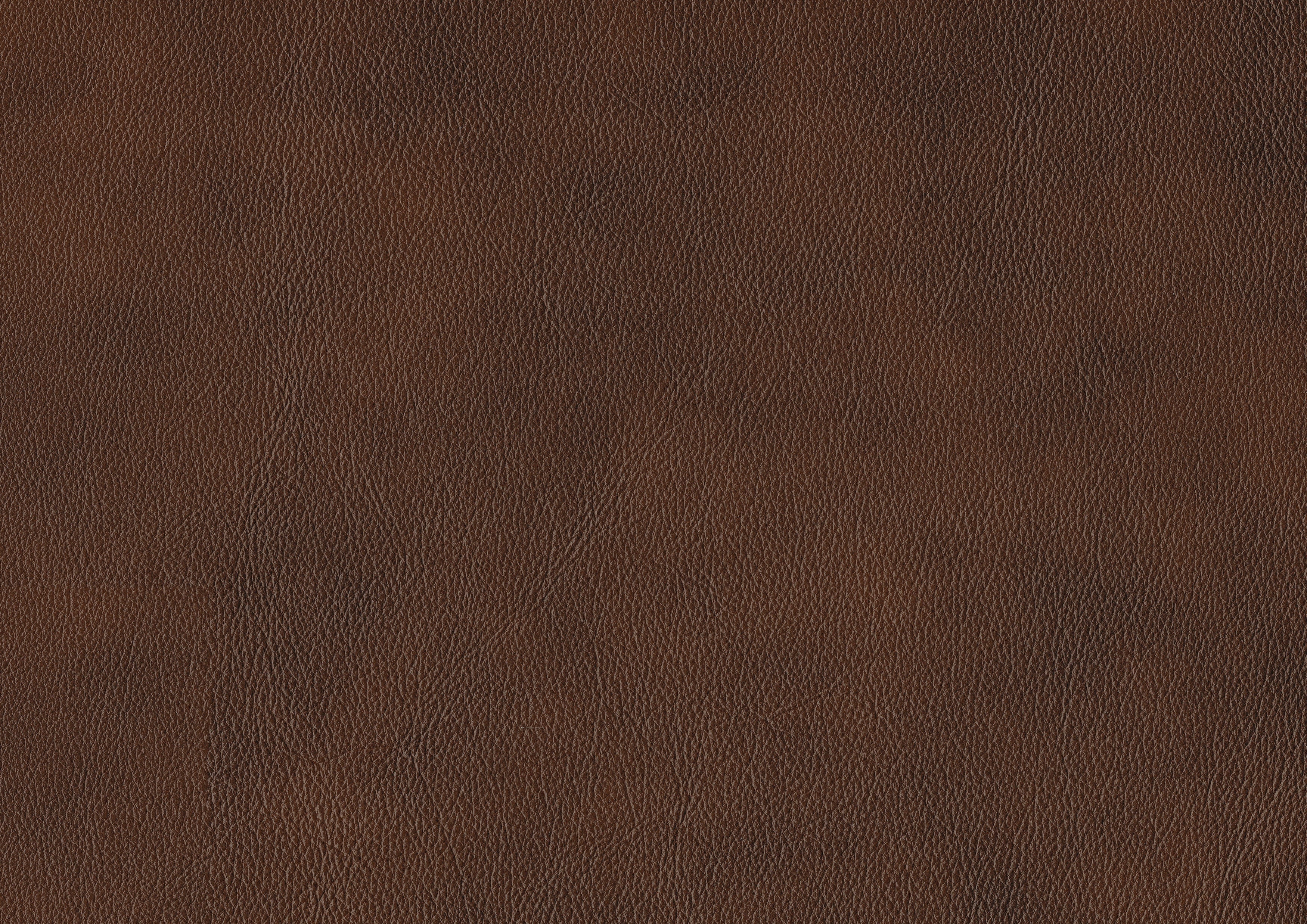 Sutton Brown Leather Power Double Reclining Loveseat with Power Headrests and Charging Ports - Image 15